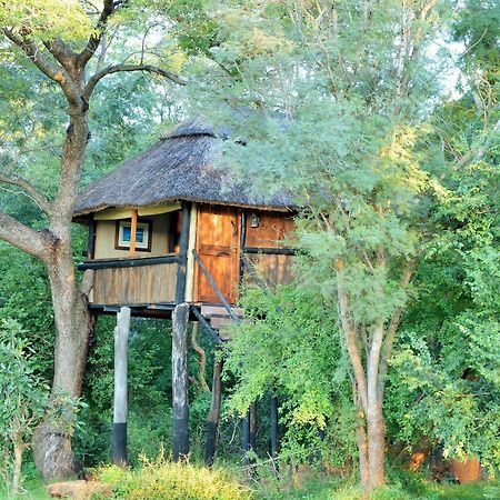 Ivory Lodge Dete المظهر الخارجي الصورة