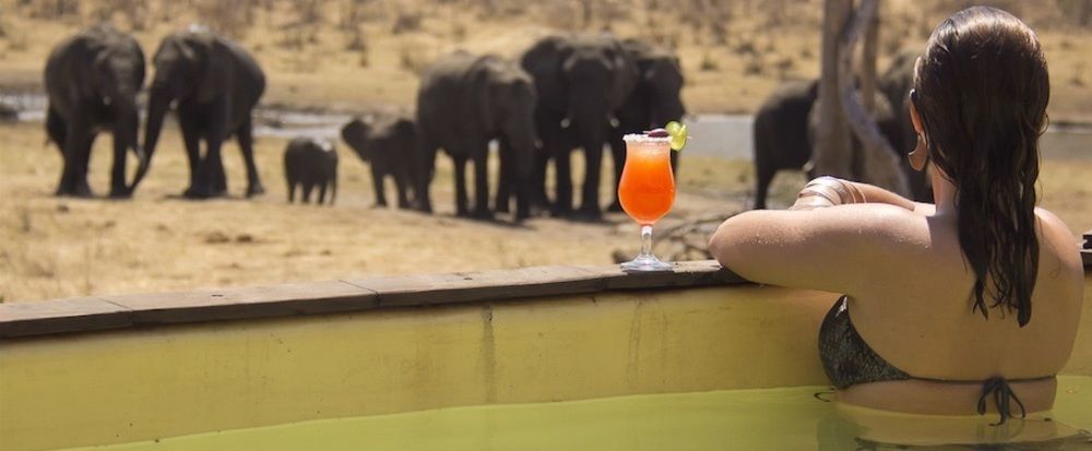 Ivory Lodge Dete المظهر الخارجي الصورة