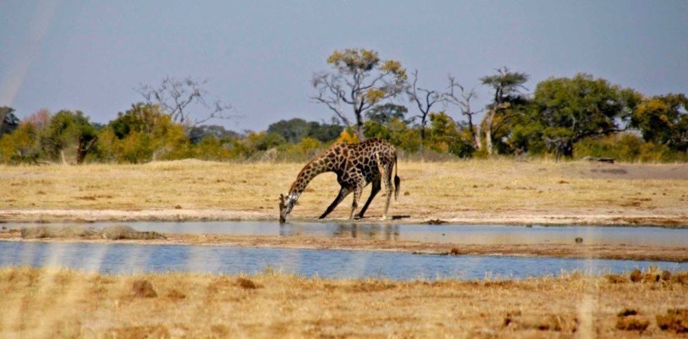 Ivory Lodge Dete المظهر الخارجي الصورة