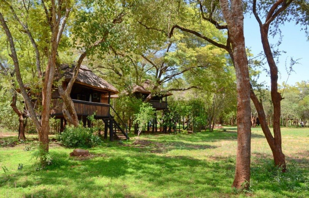 Ivory Lodge Dete المظهر الخارجي الصورة