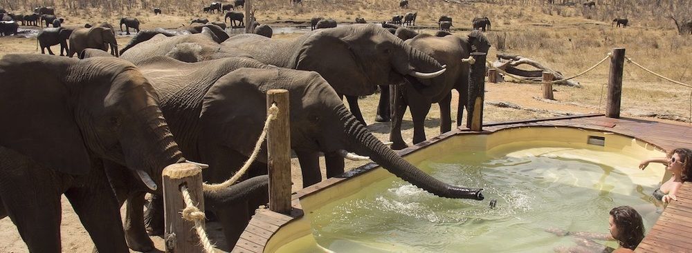 Ivory Lodge Dete المظهر الخارجي الصورة