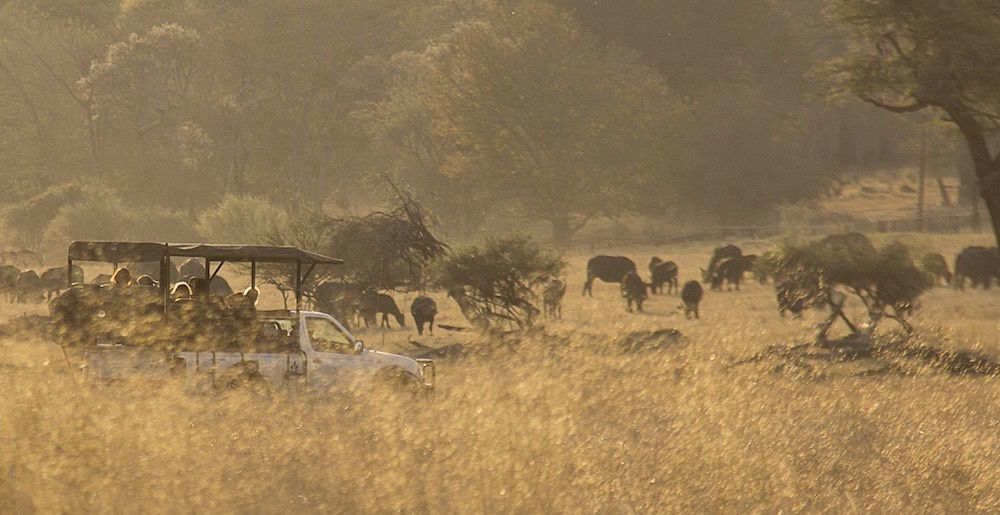 Ivory Lodge Dete المظهر الخارجي الصورة