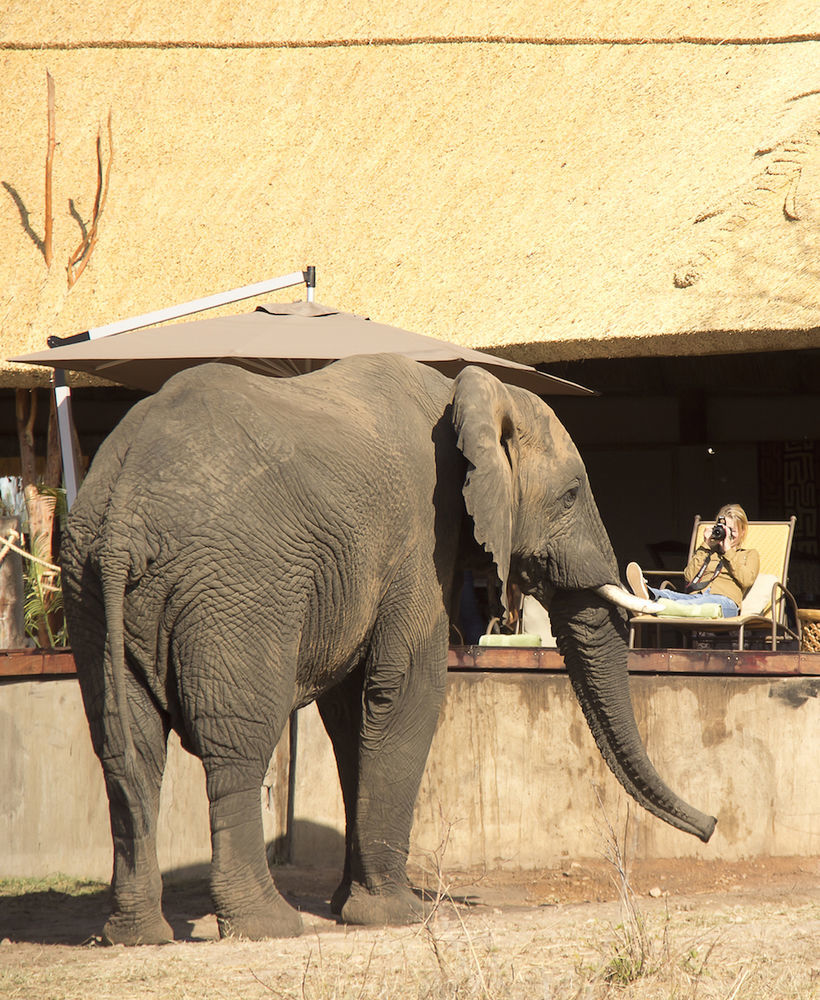 Ivory Lodge Dete المظهر الخارجي الصورة