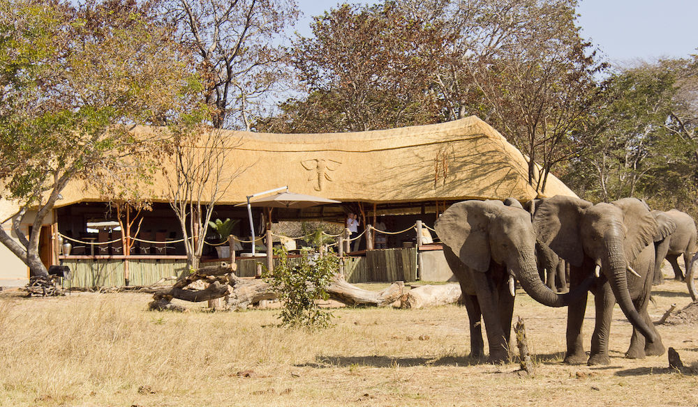 Ivory Lodge Dete المظهر الخارجي الصورة
