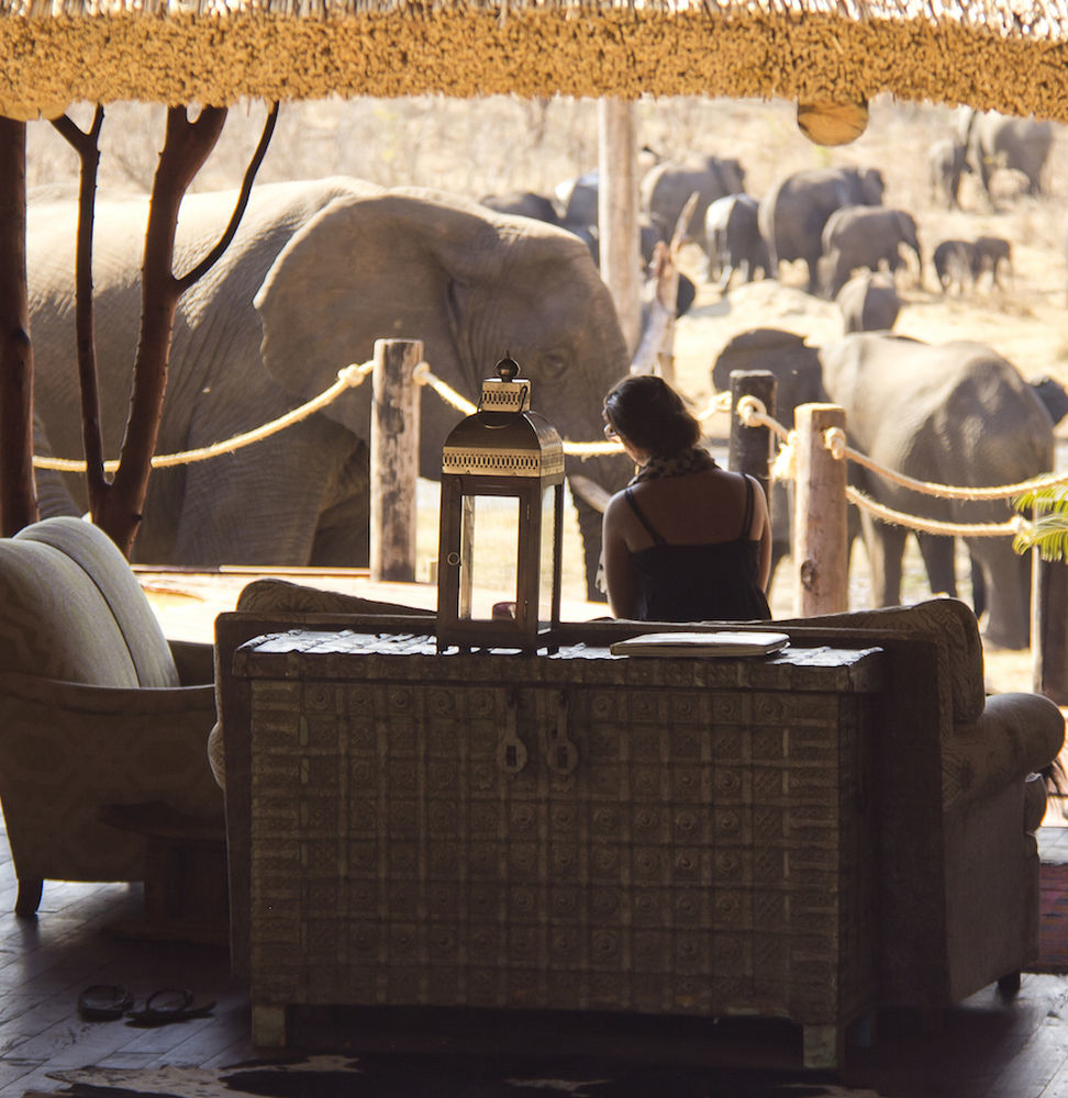 Ivory Lodge Dete المظهر الخارجي الصورة