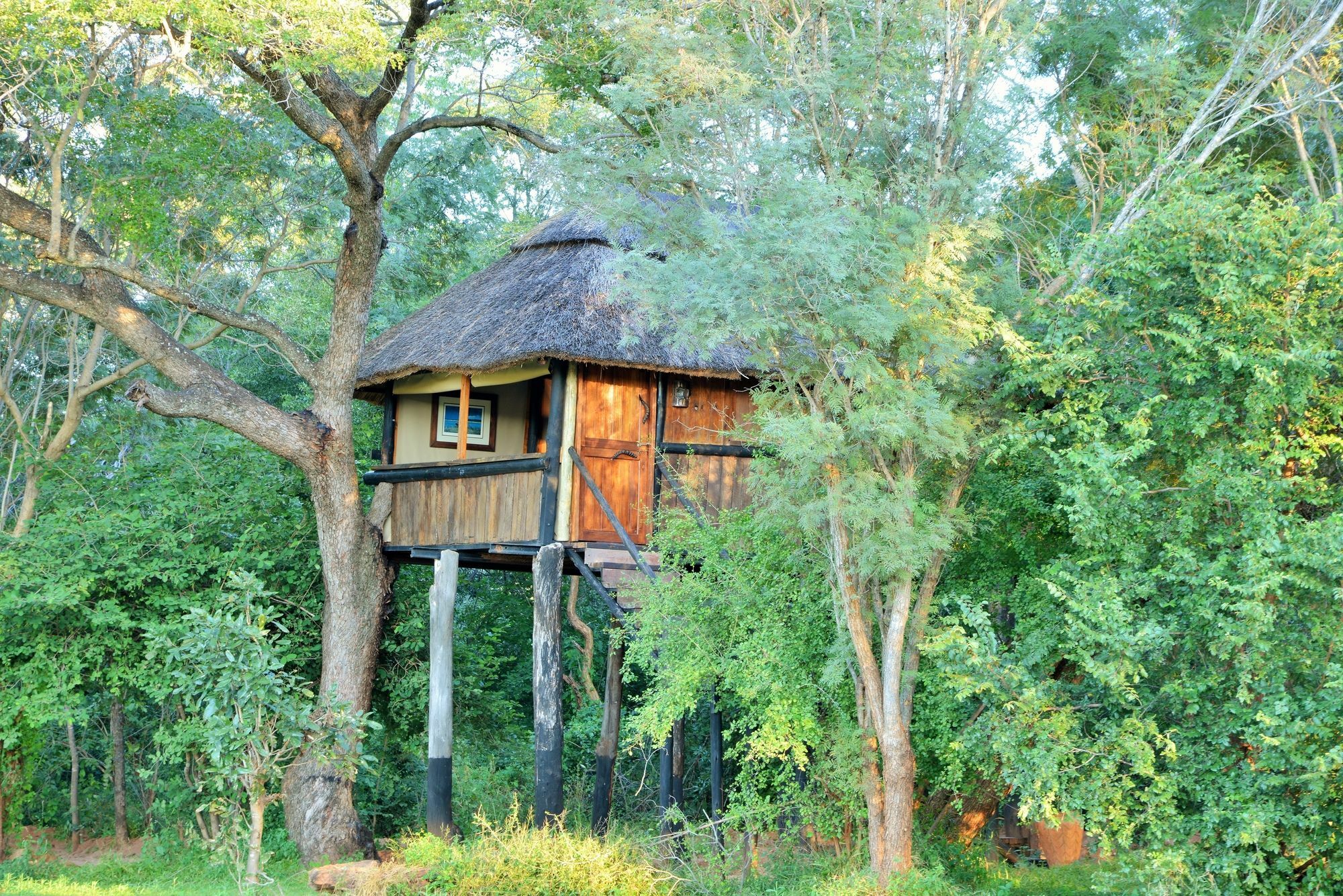 Ivory Lodge Dete المظهر الخارجي الصورة